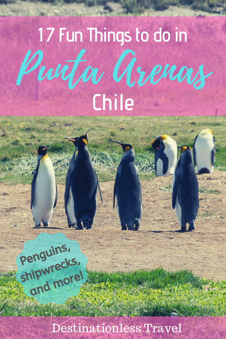 20 Exciting Things to do in Punta Arenas, Chile + COMPLETE Travel Guide