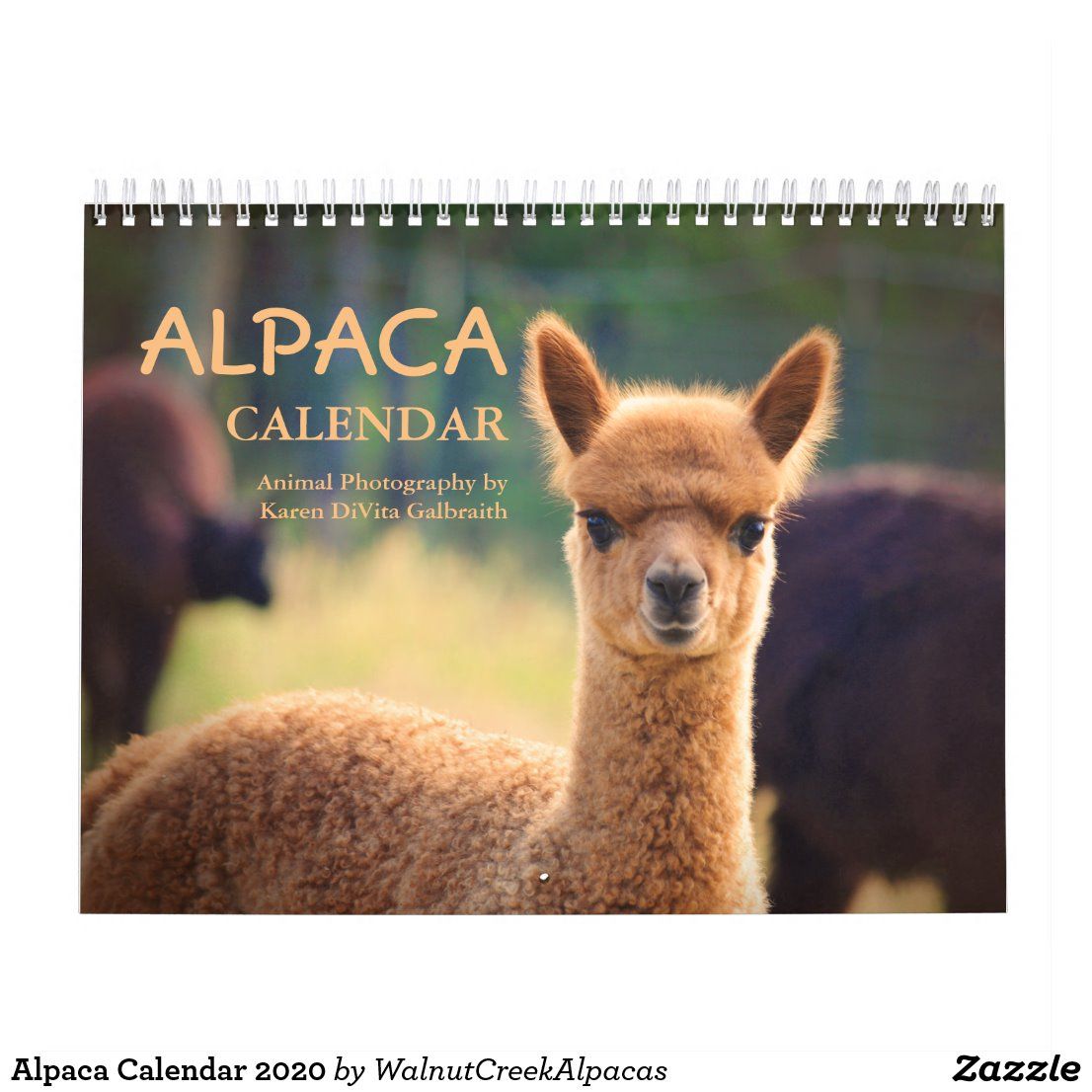 Alpacas Calendar 2020 Alpacas Calendar 2020