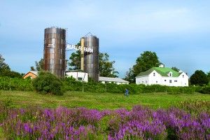 The North S Bride Topsfield Ma Alfalfa Farm Wedding Home The North S Bride Topsfield Ma Alfalfa Farm Wedding