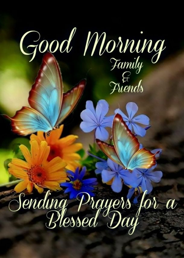 10 Deeply Inspiring & Blessed Good Morning Quotes Good Morning Spiritual Quotes, Positive Morning Quotes, Good Morning Flowers Quotes, Happy Good Morning Quotes, Morning Quotes Funny, Good Morning Prayer, Good Morning Images Hd, Good Morning Funny, Good Day Quotes