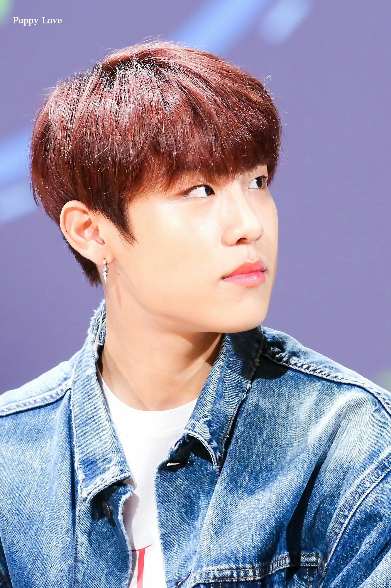 park woojin lens nine fansign park woojin lens nine fansign