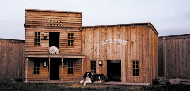 Sunset Com Home Page Cool Dog Houses Dog Houses Build A Dog House
