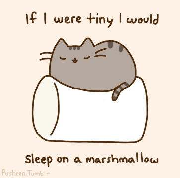 i am pusheen the cat by claire belton reviews discussion