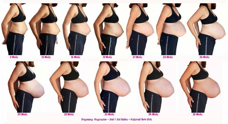 Twin Belly Bump Progress Twin Belly Bump Progress