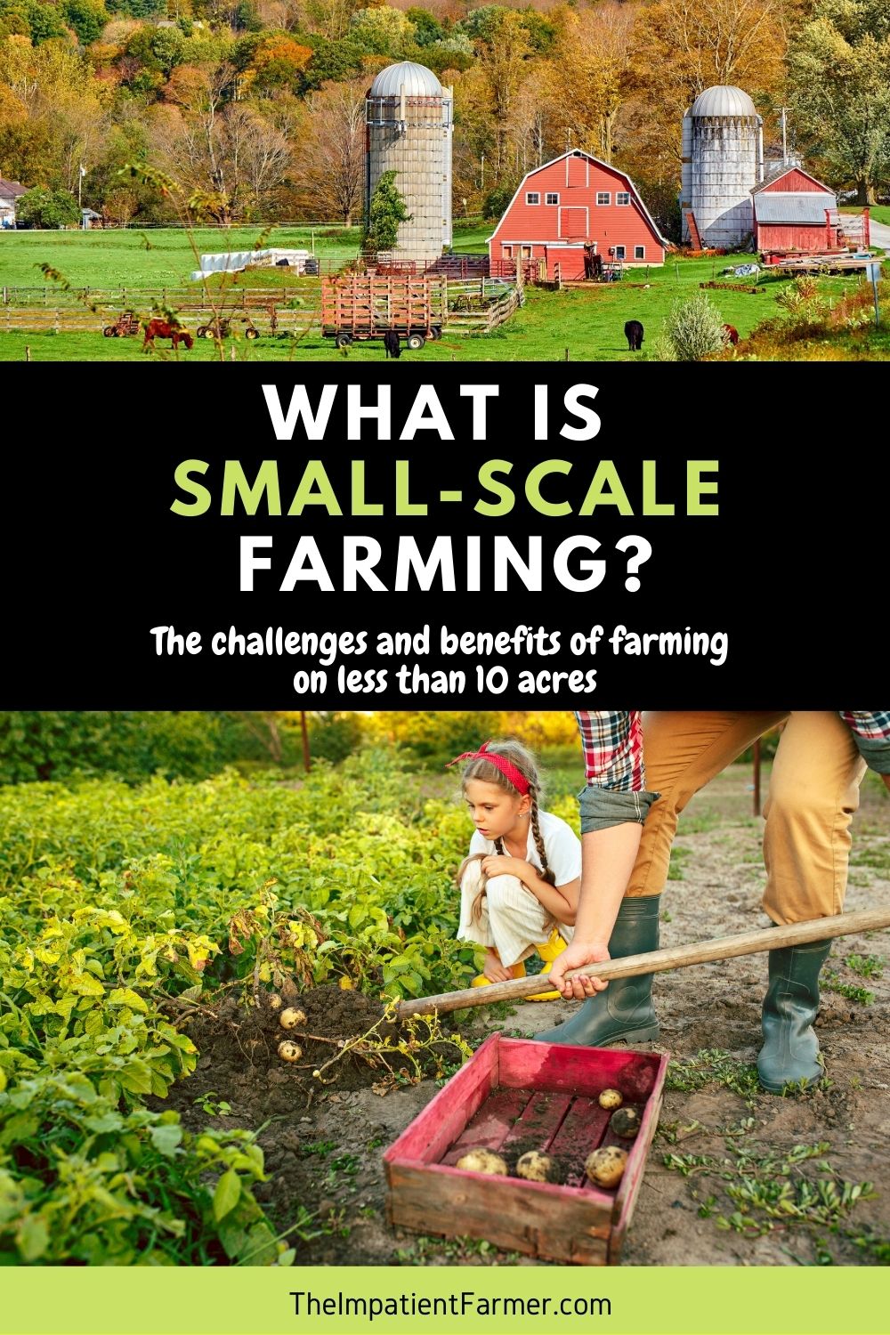 What Is Small Scale Farming And How Does It Work?