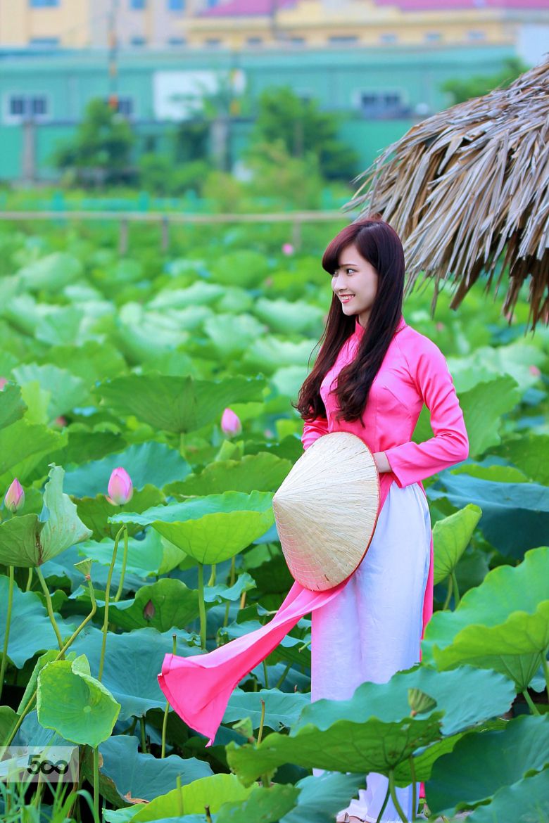 (notitle) | Foci