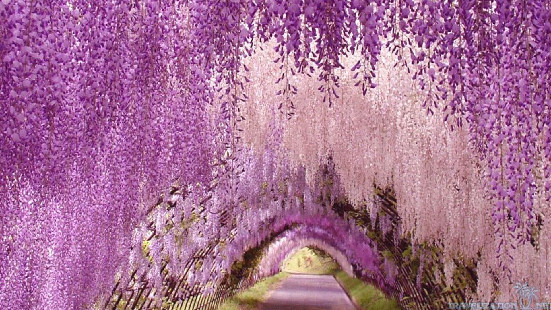 Japan National Tourism Organization Japan Travel Official Guide Colorful Places Magical Places Kitakyushu