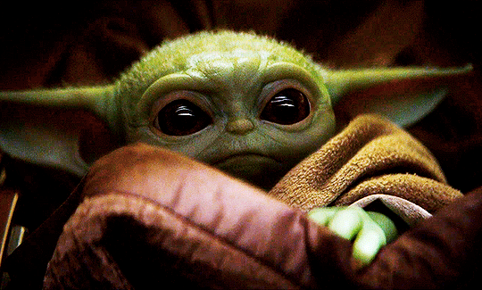 Those wittle gloves though! 🧤 in 2020 Yoda funny, Stupid