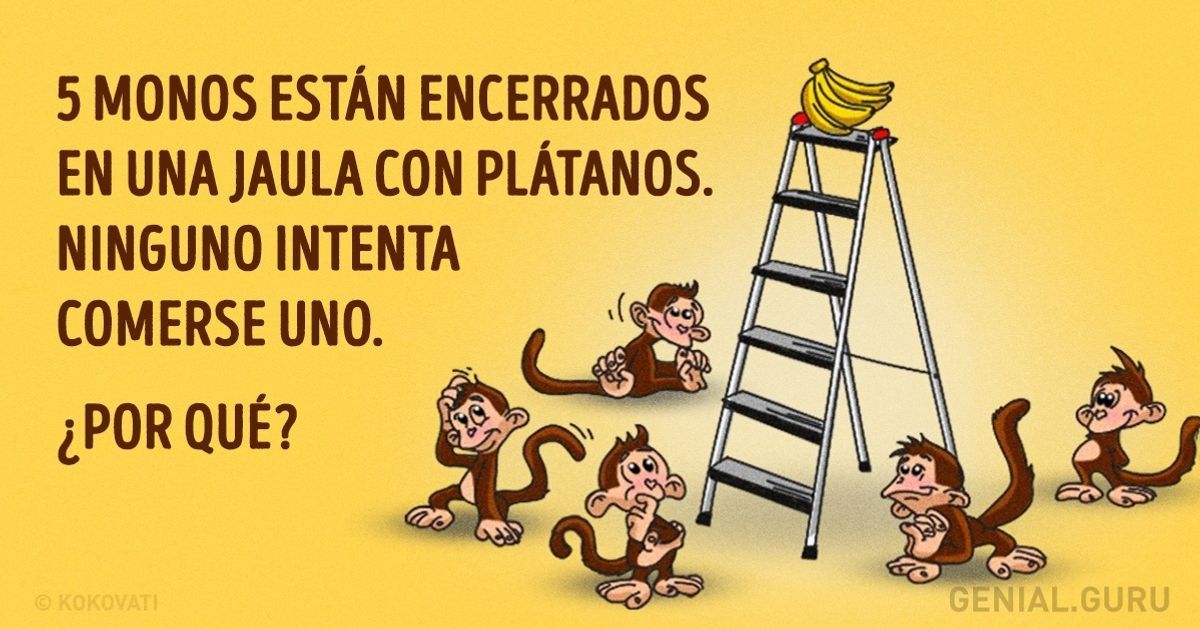 11 Acertijos que son mucho más complicados de lo que pueden parecer a primera vista Reto Mental, Playbill, Politics, Education, Home Exercises, Diy Home, Motivational, Stressed Out, Challenges