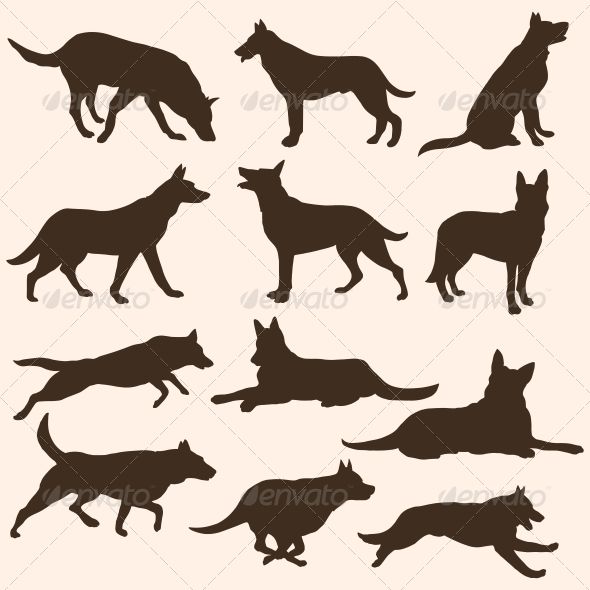 Vector Set Of Dogs Silhouettes Animals Characters