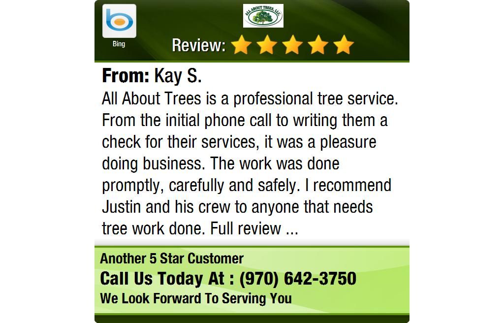 justin s tree service all about trees is professional tree service from the initial phone call to writing grand junction tree services pinterest justin s tree service all about trees is professional tree service from the initial phone call to writing grand junction tree services pinterest