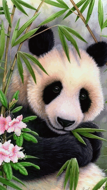 Panda With Blinking Eyes Gif Cute Animal Pinterest Panda
