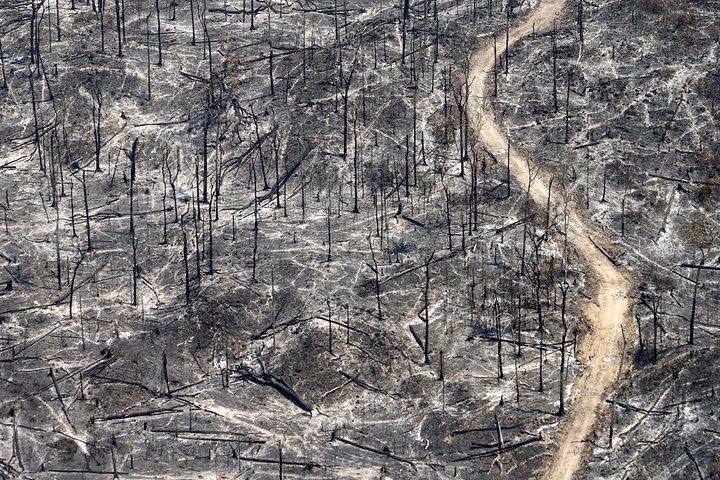 Beauty And Destruction The Amazon Rainforest In Pictures