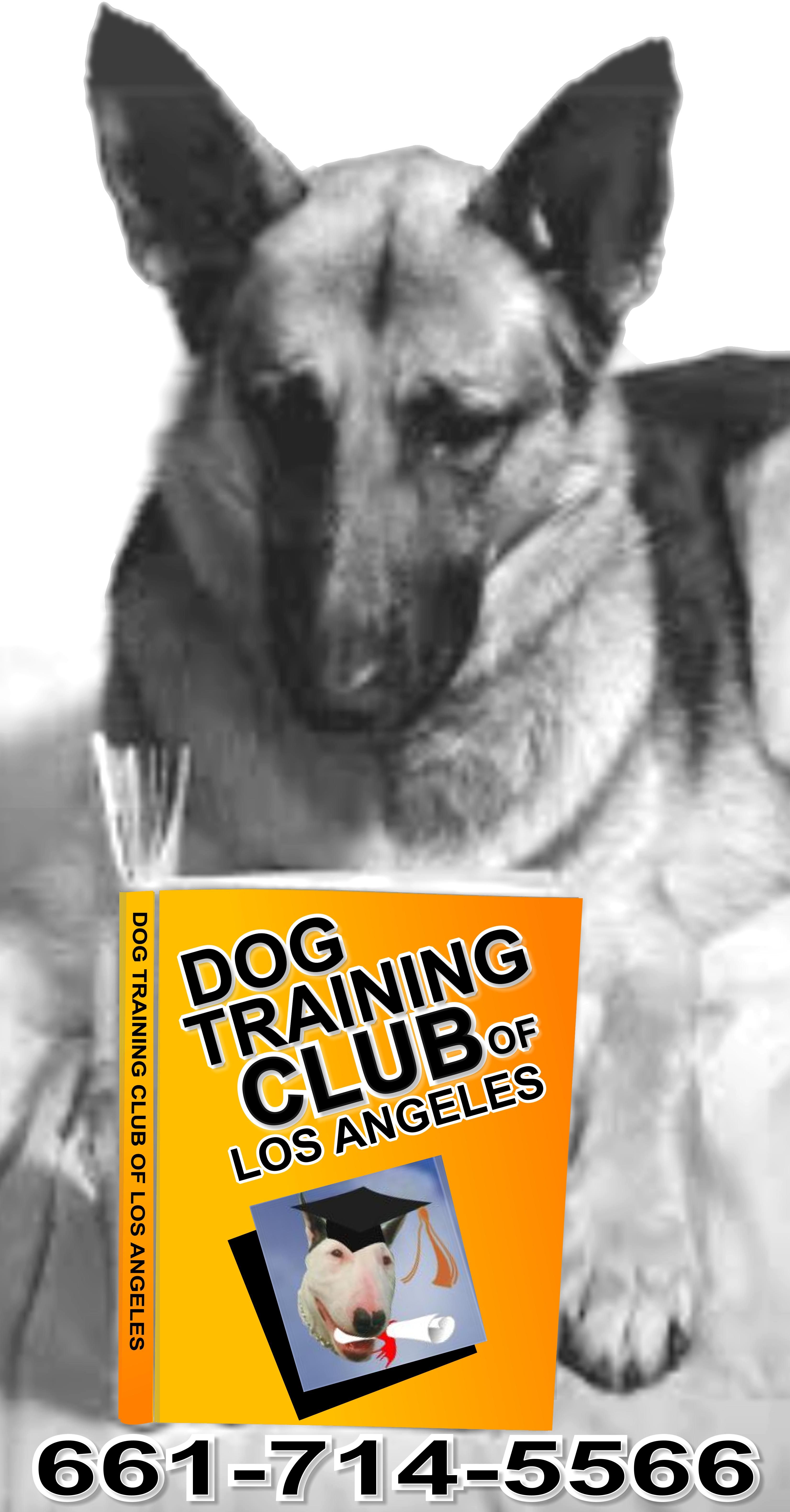 Great Reading Material At Dog Training Club Of Los Angeles Dog