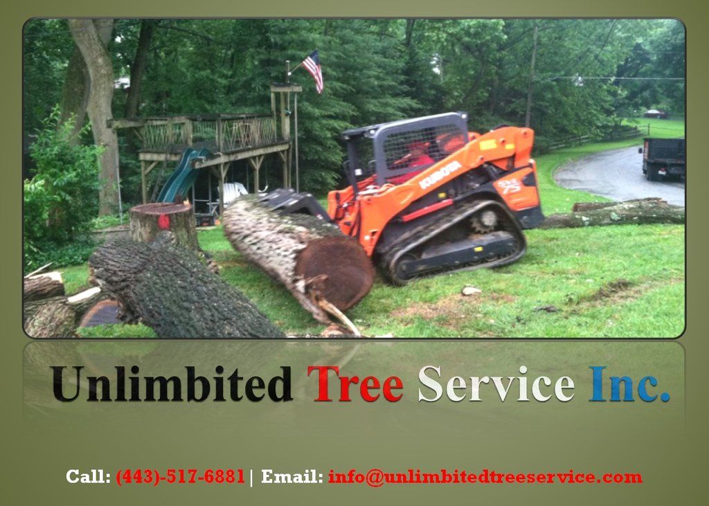 3 point stump cutter
