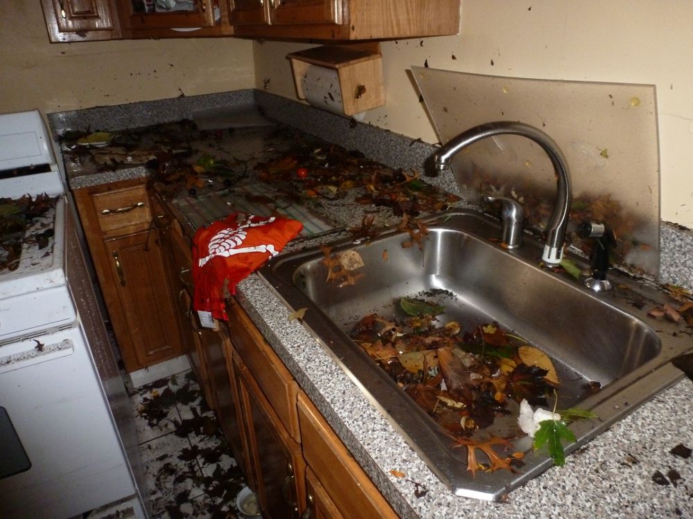 Sewer Backups Or Flooding How To Clean Up After One Cleaning Clean Up Sewer