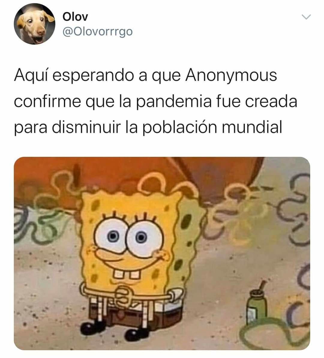 Pin De Maria Belen En Memes 2020 Memes Divertidos Imagenes De Memes Graciosos Meme Divertido
