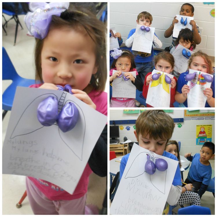 Body Preschool Human Body Activities Preschool Science Body Preschool Human Body Activities Preschool Science