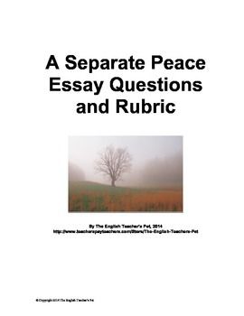 the age of innocence essay questions