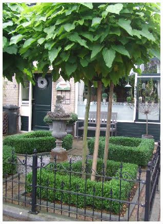 boxwood courtyard stunning small formal front yard garden
