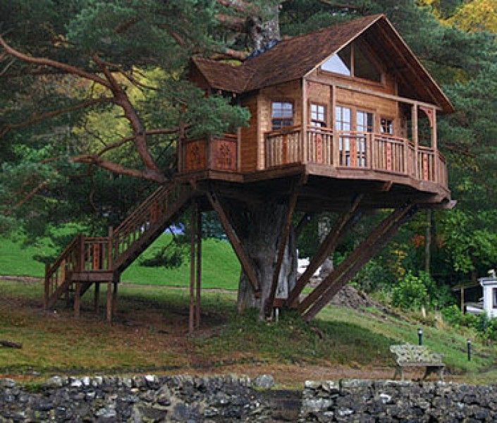 kids tree house plans designs free backyard kids tree house plans designs free inspiration decorating 316826 other ideas design kue iz bajke google pretraivanje houses pinterest kids tree house plans designs free backyard kids tree house plans designs free inspiration decorating 316826 other ideas design kue iz bajke google pretraivanje houses pinterest