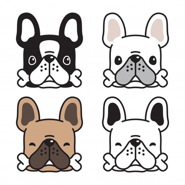 Perro Bulldog Frances Hueso Cartoon Vector Premium Premium