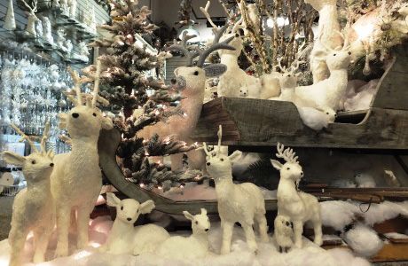 Wonderland Of Christmas Wights Nursery Lynnwood Wa Starts Wonderland Of Christmas Wights Nursery Lynnwood Wa Starts