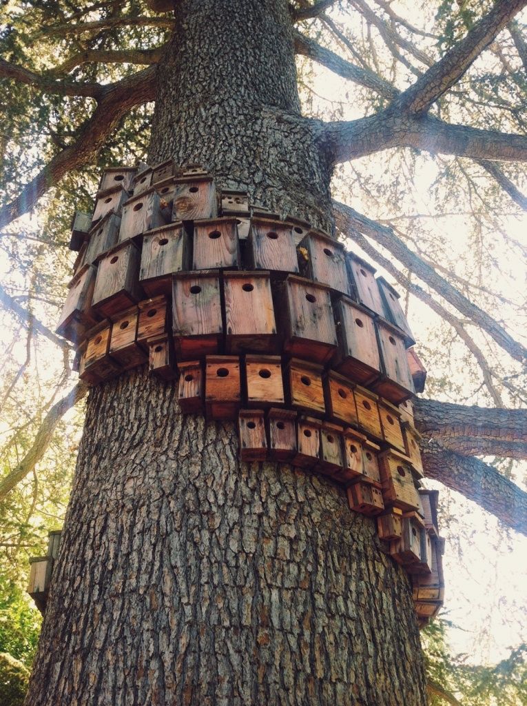 Birdhouse artwork called "Control Tower" by artist Cameron ... Birdhouse artwork called "Control Tower" by artist Cameron ...