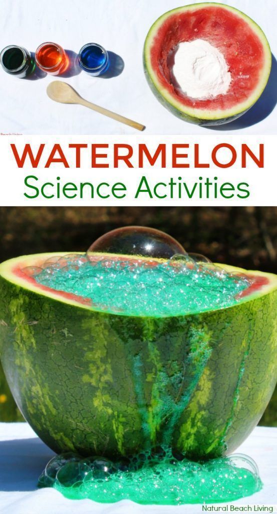 Watermelon Science Activities – Baking Soda and Vinegar Science Experiment #kidscience #summerscience #toddleractivities #watermellon Watermelon Activities, Summer Science Activities, Science Experiments Kids Preschool, Summer Activities For Toddlers, Science Camp, Kid Experiments, Kindergarten Science, Science For Kids, Science Ideas