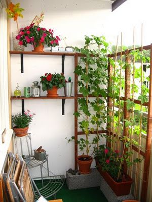 Ikea Hack Garden Trellis Use On Deck To Create A Sun Block With