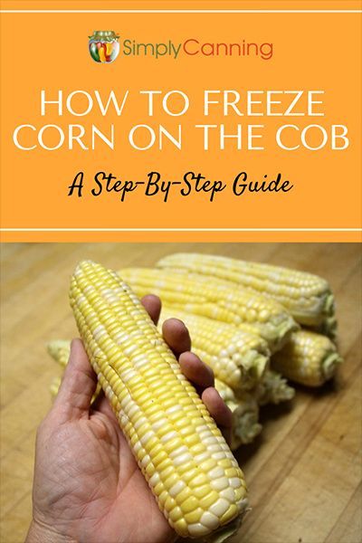 How To Freeze Corn Step By Step Guide For Freezing On Or Off The Cob how-to-freeze-corn-step-by-step-guide-for-freezing-on-or-off-the-cob