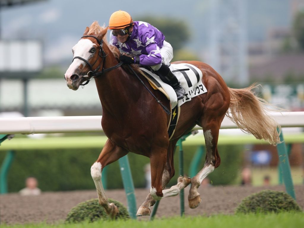 カメラマン馬券師 あきちんのファインダー競馬 09年06月 Livedoor Blog ブログ 馬 競馬 カメラマン カメラマン馬券師 あきちんのファインダー競馬 09年06月 Livedoor Blog ブログ 馬 競馬 カメラマン