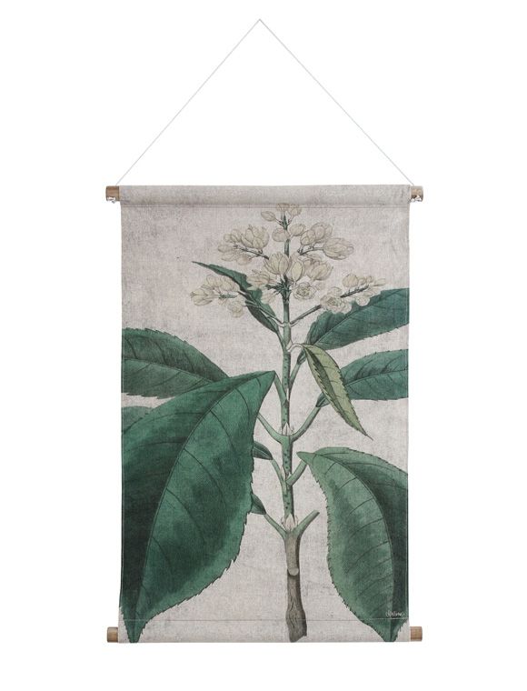 Mit den botanischen Schulkarten in drei Größen fühlt man sich doch ... Mit den botanischen Schulkarten in drei Größen fühlt man sich doch ...