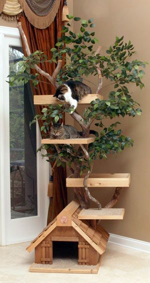 Indoor Cat Trees With A Natural Look Catplayareas Diy Cat Tree Diy Cat Enclosure Cat Houses Indoor