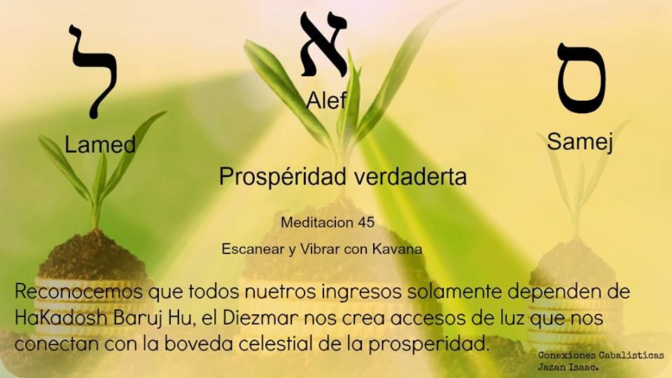 The Three Stages Of Plant Growth In Different Languages the-three-stages-of-plant-growth-in-different-languages
