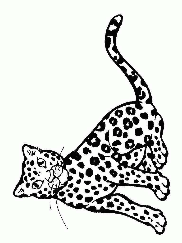 Nice Cheetah Print Coloring Pages Special Picture Forest Coloring Pages Lion Coloring Pages Animal Coloring Pages