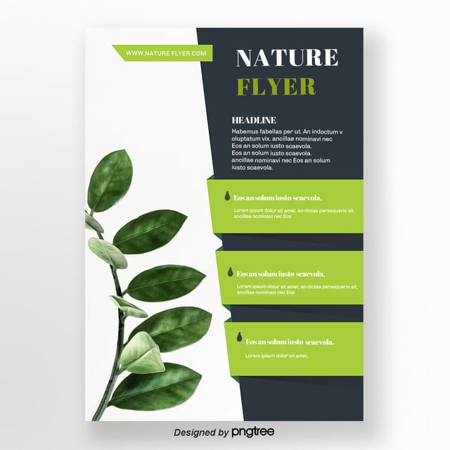 operaciones,volante,geometría,modelo,refrescar,vector,sucintamente,conciso,verde,volante verde,natural Graphisches Design, Menu Design, Layout Design, Modele Flyer, Graphic Design Flyer, Creative Flyers, Creative Business, Flyer Design Inspiration, Plakat Design