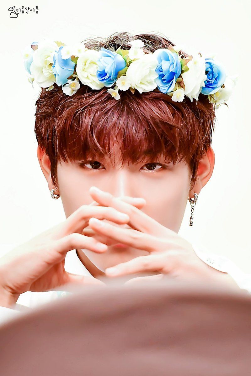 park woojin from november2 wj selebriti park woojin from november2 wj selebriti
