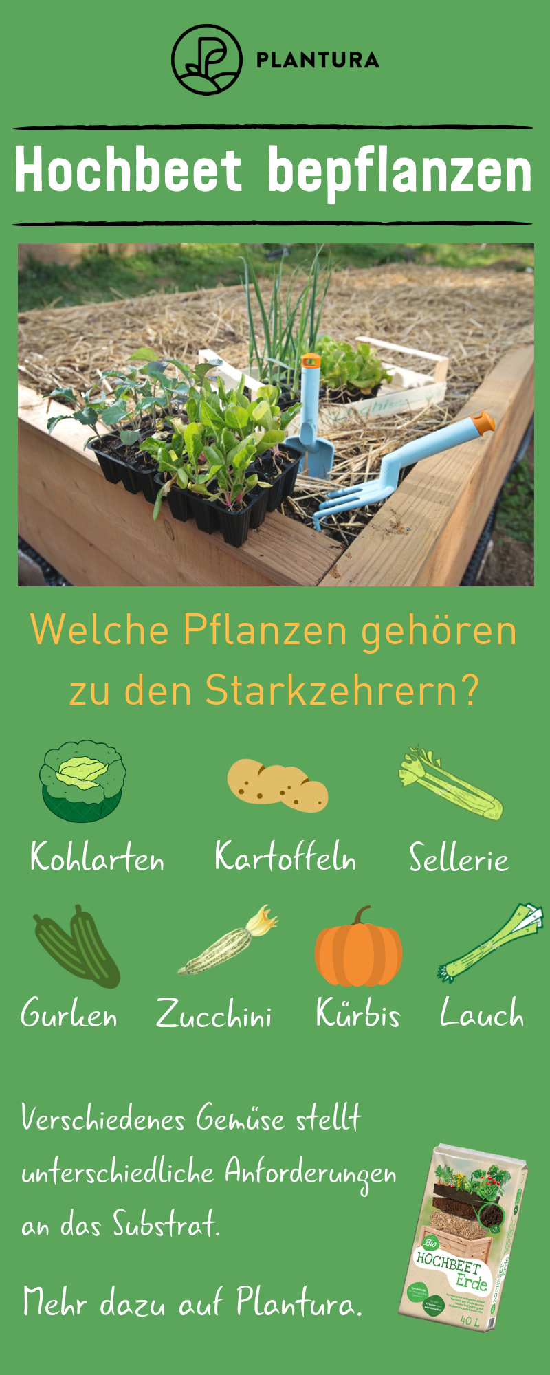 Kartoffeln Im Topf Anpflanzen In 2020