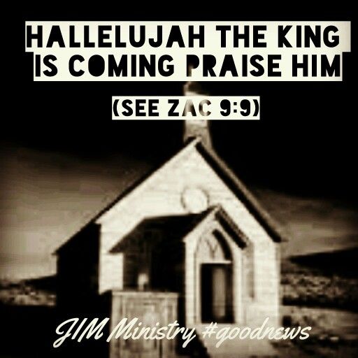 “Rejoice greatly, O daughter of Zion! Shout, O daughter of Jerusalem! Behold, your King is coming to you; He is just and having salvation, Lowly and riding on a donkey, A colt, the foal of a donkey. Zechariah 9:9 NKJV http://bible.com/114/zec.9.9.NKJV A Donkey, Zechariah, Nkjv, Foals, Zion, Rejoice, Jerusalem, Ministry, Good News