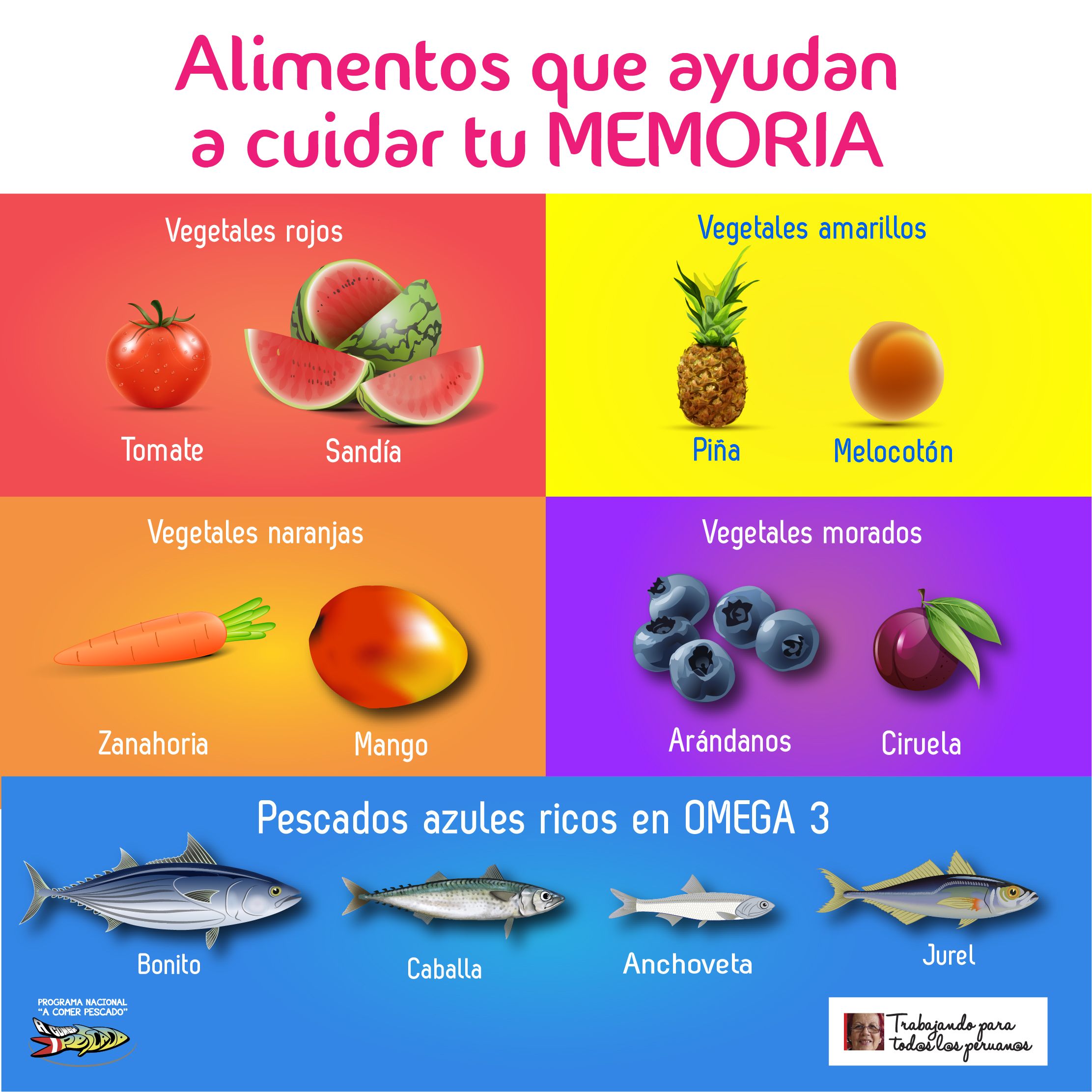 La alimentación que cuida tu memoria pdf indir