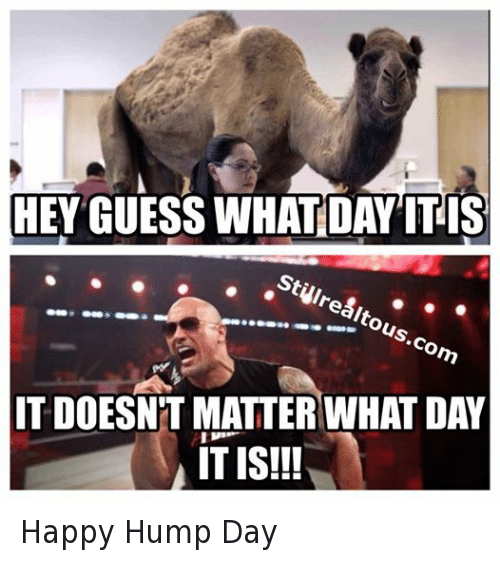 Hey guess what day it is it doesnt matter Hump Day Work