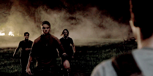 Gally's memory of Thomas. | 11 Things You Won't See In The Movie Adaptation Of "Maze Runner" Maze Runner The Scorch, Maze Runner Movie, Gally Maze Runner Gif, Maze Runner Trilogy, Maze Runner Series, Fan Fiction, Wattpad, Will Poulter, James Dashner