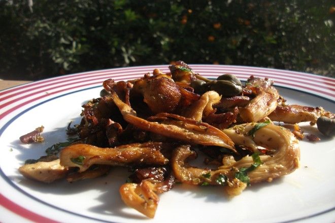 Kızarmış istiridye mantarı - iştah açıcı bir yemek Kızarmış istiridye mantarı - iştah açıcı bir yemek