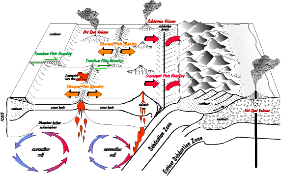 Unraveling the Mysteries of Plate - 7e1ce4b212a017a106e302df6c189510