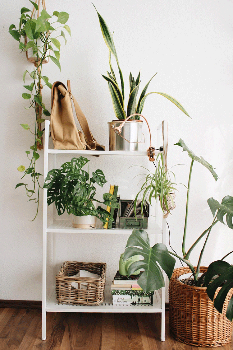 decoracion-dormitorio-estilo-raw-plantas-wabi-sabi Interior Design Living Room, Living Room Designs, House Interior, Interior Design Plants, Living Spaces, Room Ideas Bedroom, Diy Bedroom Decor, Decor Room, Boho Room