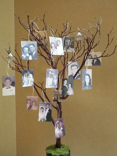 Family Tree