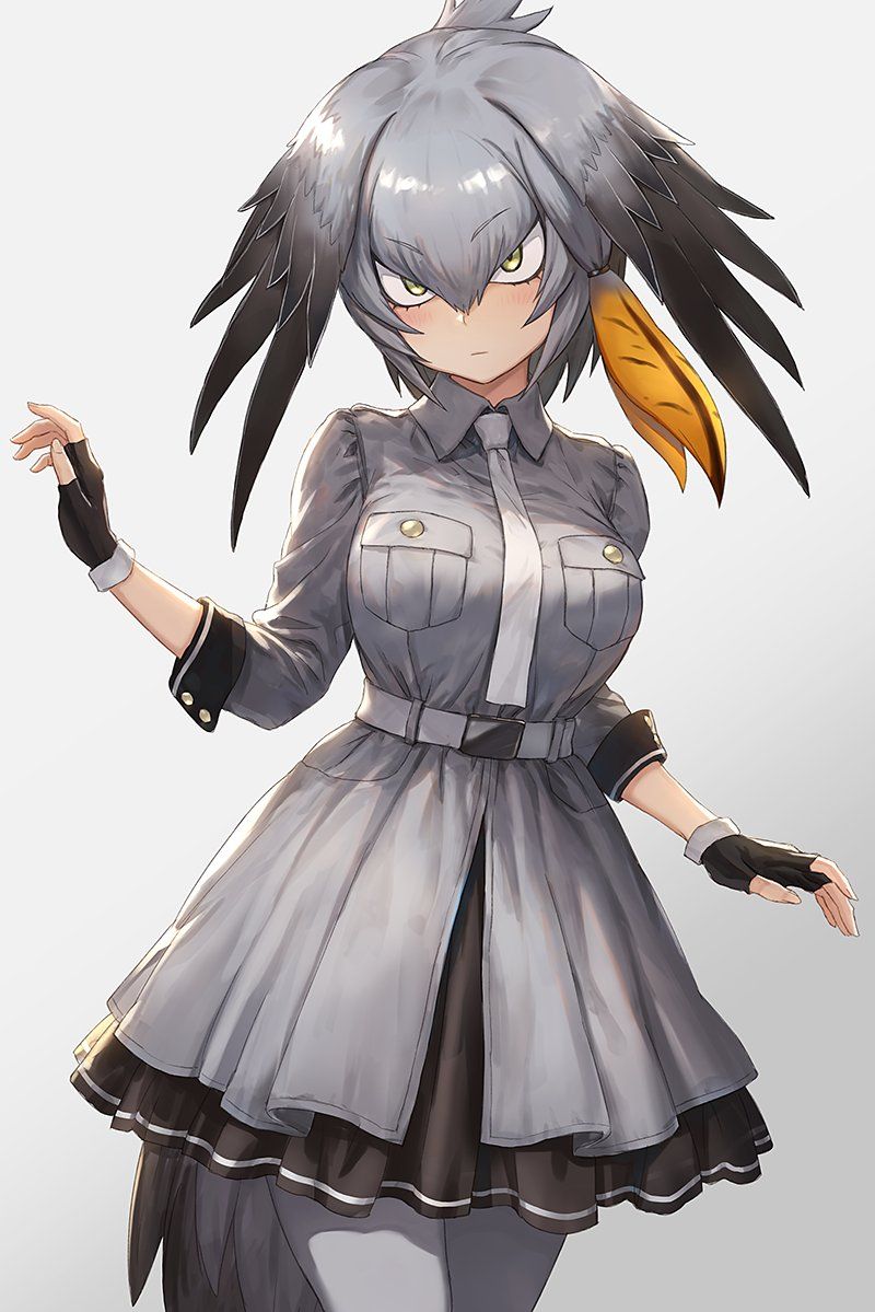 ハシビロコウ けものフレンズ」のアイデア 8 件 | ハシビロコウ