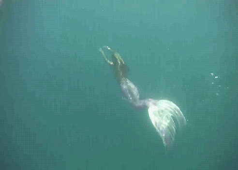 Mermaid Gifs, Mermaid Cove, Mermaid Dreams, Mermaid Art, Mermaid Style, Swimming Gif, Mermaid Swimming, Underwater Swimming, Real Mermaids