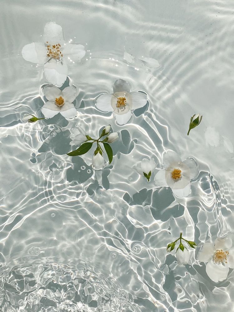 Flowers In 21 Beautiful Wallpapers Backgrounds Cute Summer Wallpapers Vintage Flowers Wallpaper Flowers In 21 Beautiful Wallpapers Backgrounds Cute Summer Wallpapers Vintage Flowers Wallpaper